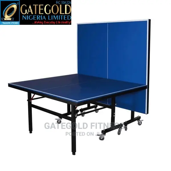 Outdoor Table Tennis (With Net and Cover) DQT002A in Surulere Sports