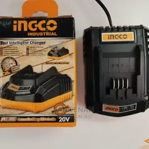 Ingco Fast Intelligent Charger for Battery