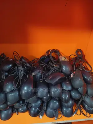 Used Mouse