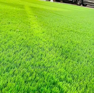 High Quality Synthetic Grass Carpet