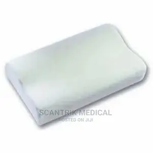 Portable Neck Memory Foam Contour Pillow