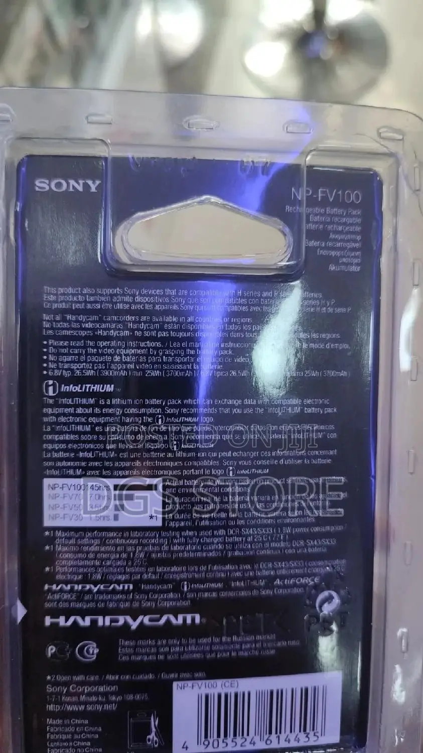 Sony v Fv100 Camera Battery