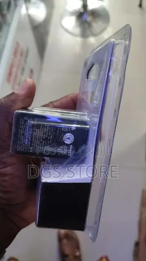 Sony v Fv100 Camera Battery