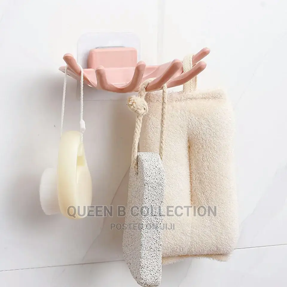 Soap and Sponge Dish