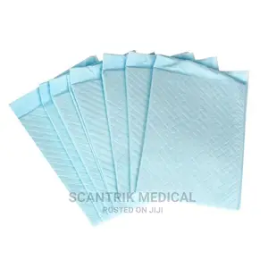 Portable Disposable Adult Personal Care Bed Pads