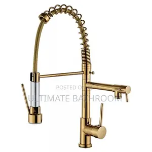 Gold Big Brother Sink Mixer