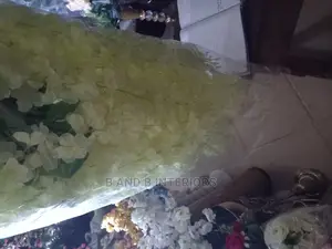 Flowers  Design and Wall Designs