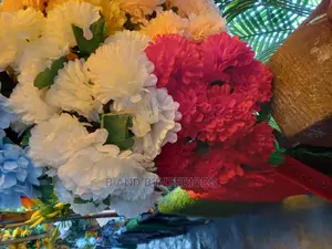 Flowers  Design and Wall Designs