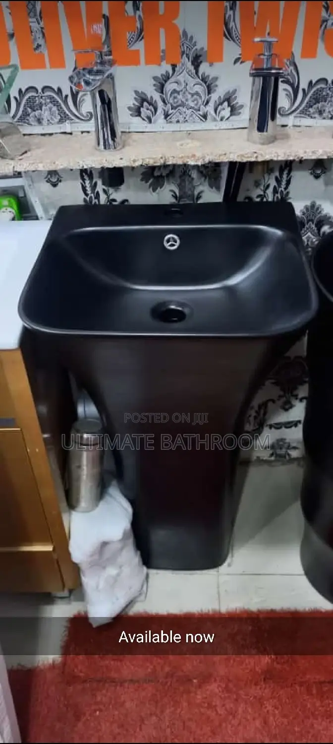 Matt Black Standing Washing Hand Basin