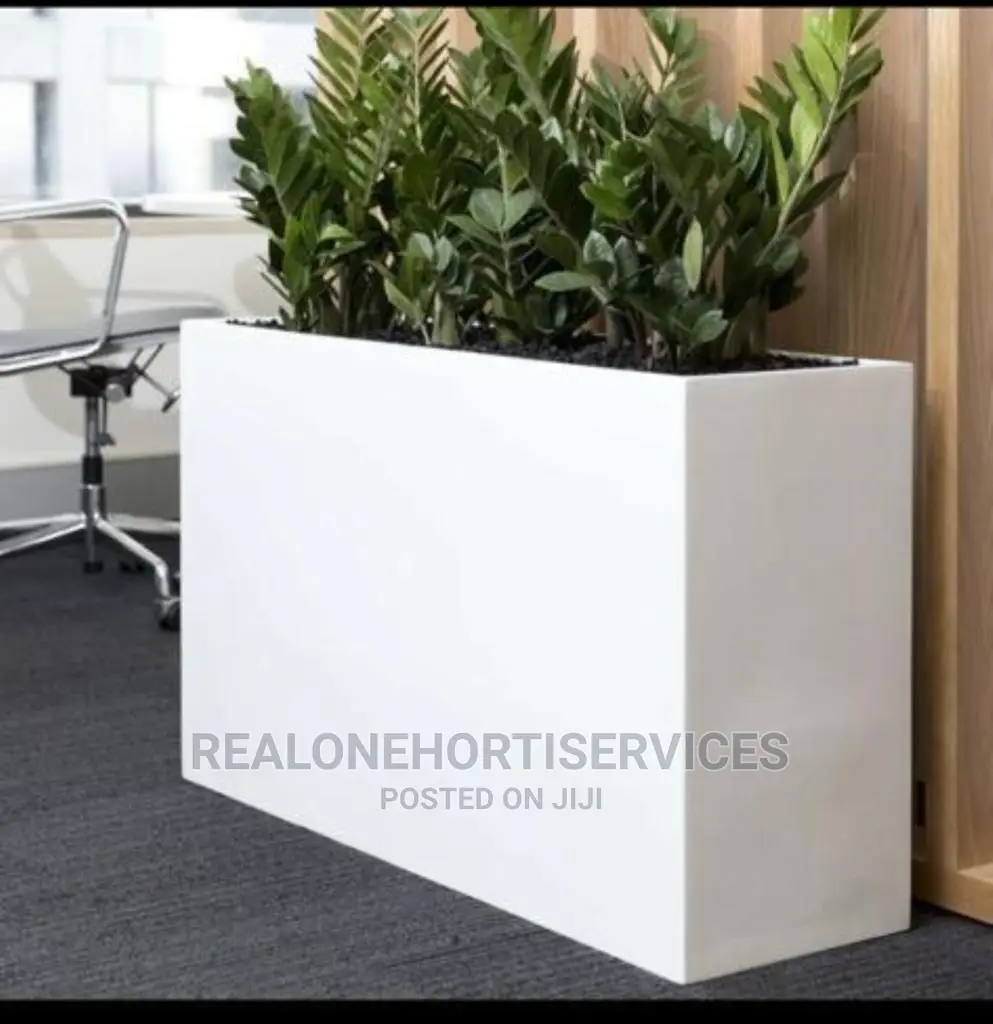 Durable Designed Concrete Planter