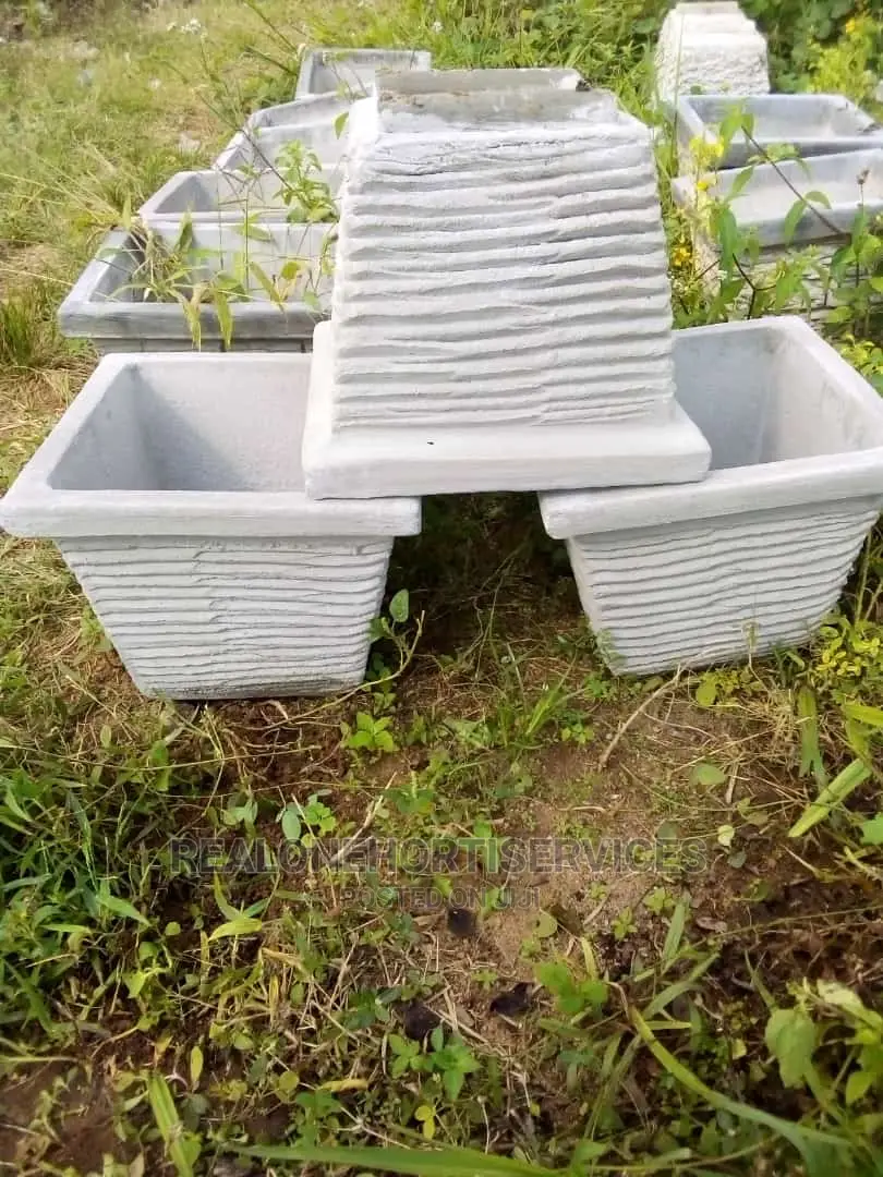 Durable Designed Concrete Planter