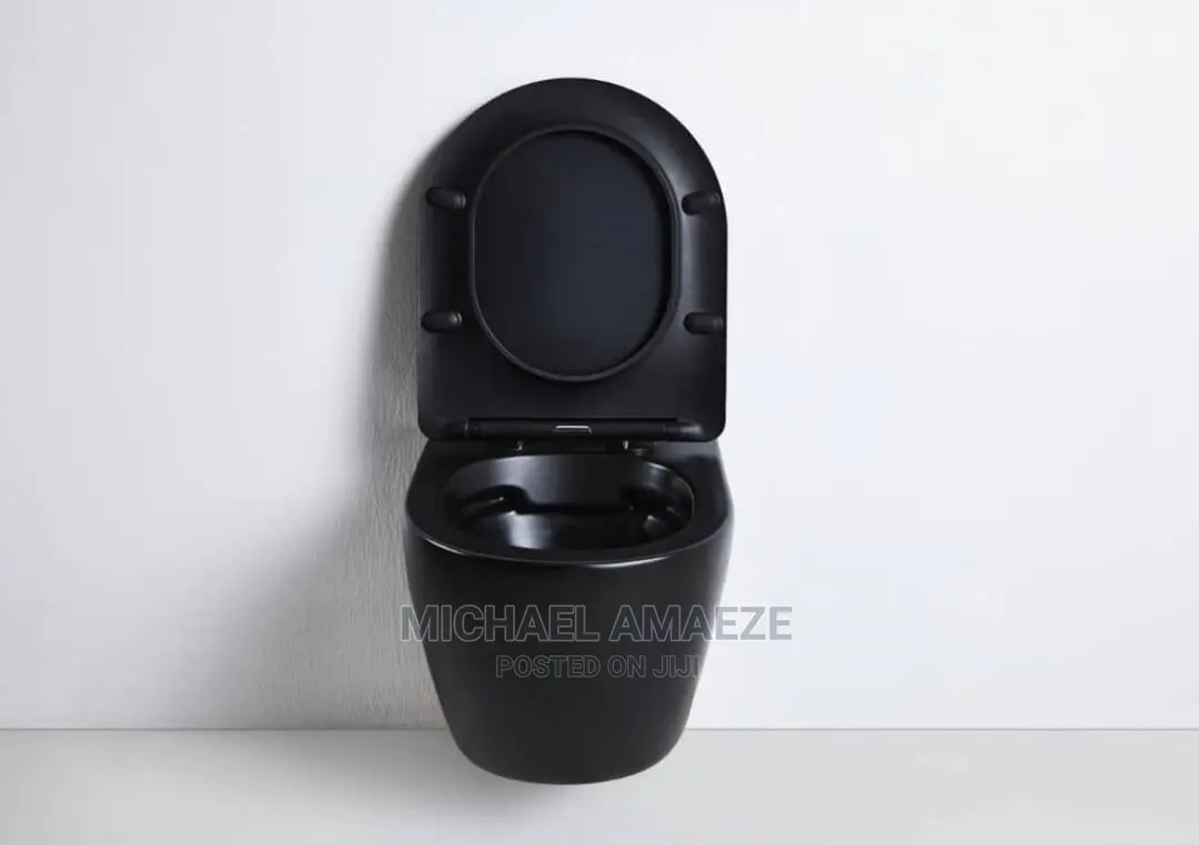 Black Concealed Water Closet
