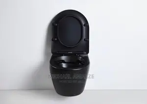 Black Concealed Water Closet