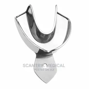 A Pack of Stainless Steel Teeth Tray