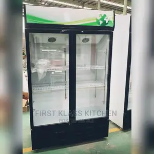 Industrial Chiller Double Door