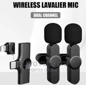 Double Wireless Microphone