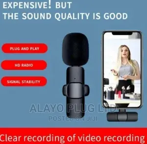 Double Wireless Microphone