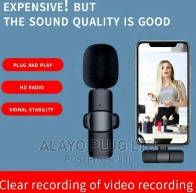 Double Wireless Microphone