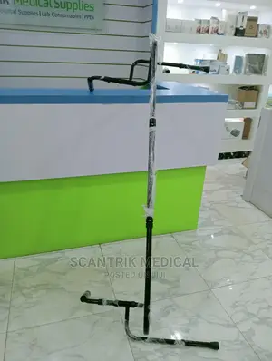Chair Lift Assist for Elderly, Grab Bar Standing Aid