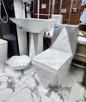 White And Gray Executive Set Watercloset