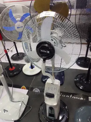 Scanfrost Mist Fan