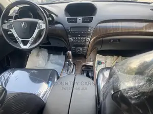 Acura MDX 2011 Silver