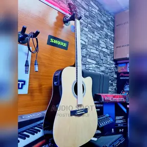 ECSTASY 41" Professional Semi Acoustic Guitar