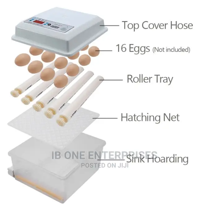 Digital Automatic 16 Egg Brooder Machine Incubator