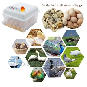 Digital Automatic 16 Egg Brooder Machine Incubator