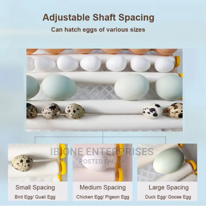 Digital Automatic 16 Egg Brooder Machine Incubator