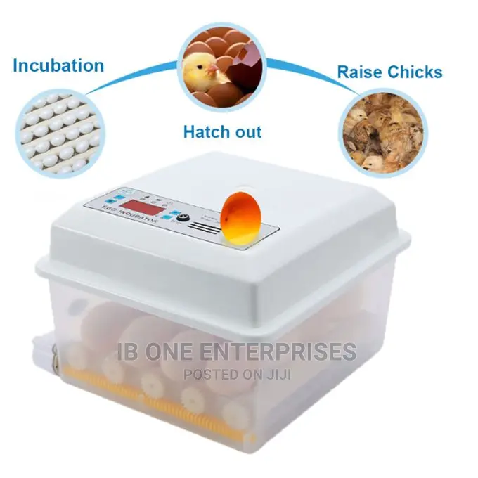 Digital Automatic 16 Egg Brooder Machine Incubator