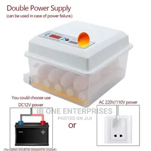 Digital Automatic 16 Egg Brooder Machine Incubator