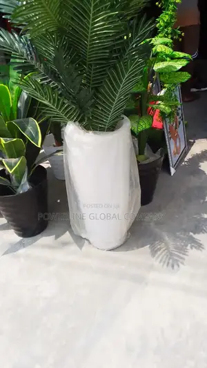 Flower Pot for Decorations at Home's/ Restaurants/ Events
