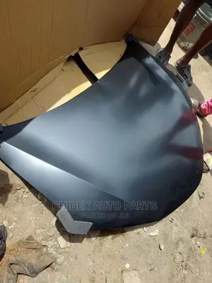 Bonnet and Fender Available