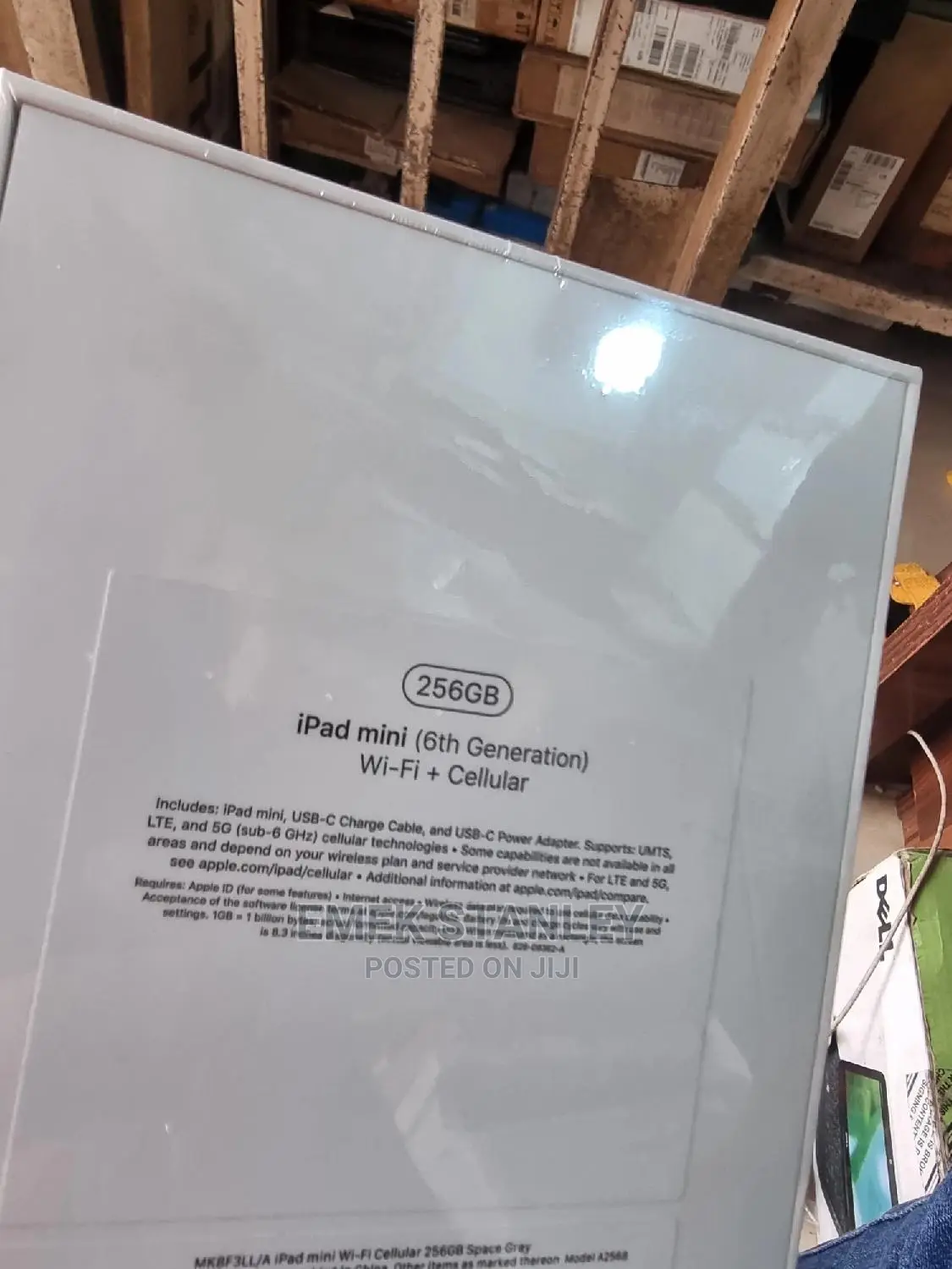 New Apple iPad mini (2021) 256 GB Gray