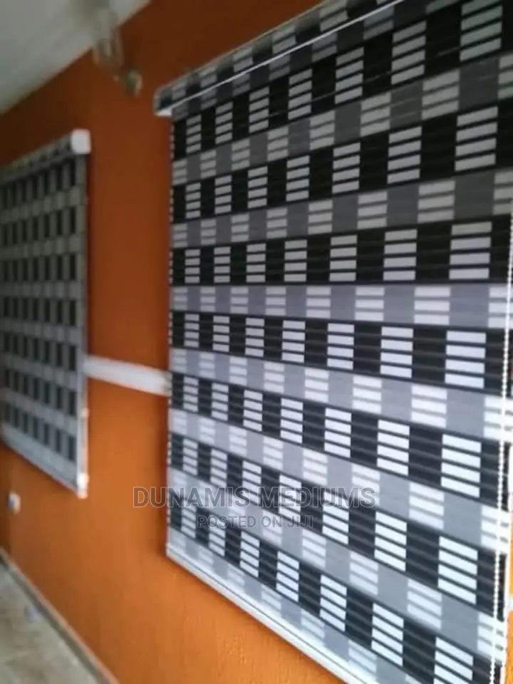 Day and Night Window Blinds.