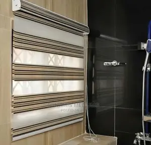 Day and Night Window Blinds