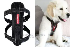Ezydog BLACK SMALL Chest Plate Harness + Car Seat Restraint