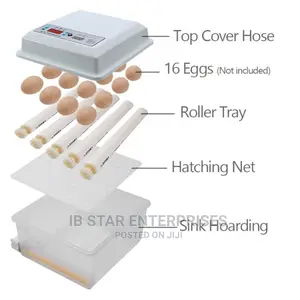 Full Automatic 16 Eggs Brooder Bird Chick Hatchery Incubator