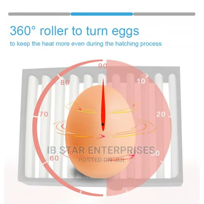 Full Automatic 16 Eggs Brooder Bird Chick Hatchery Incubator