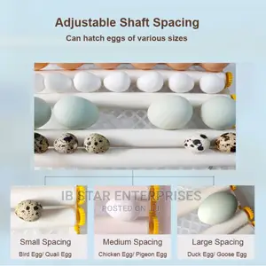Full Automatic 16 Eggs Brooder Bird Chick Hatchery Incubator