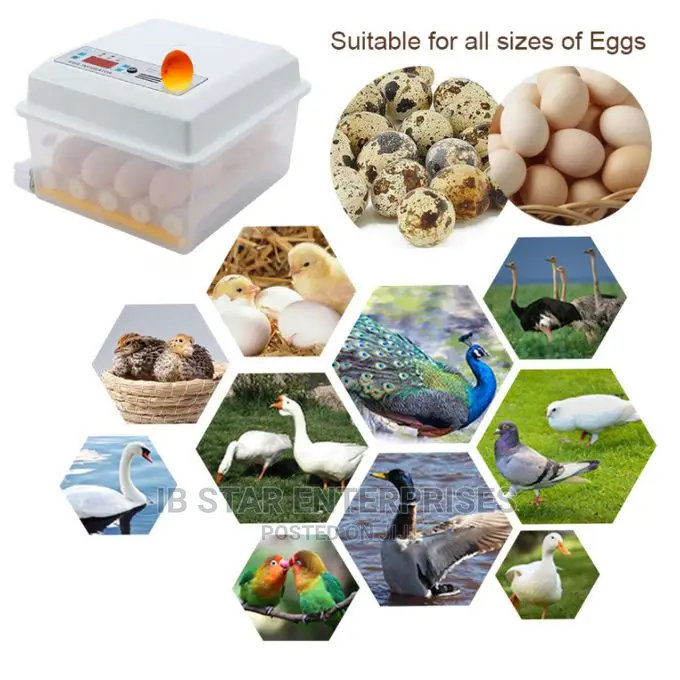 Full Automatic 16 Eggs Brooder Bird Chick Hatchery Incubator