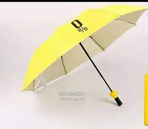 Pocket Umbrella
