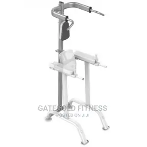 Vertical Knee Raise [Option] – It7010opt