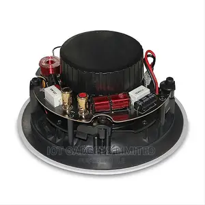 FDB C600 High-Performance Ceiling Speaker