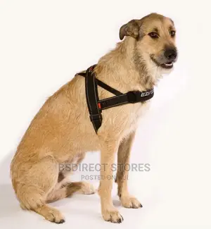 Ezydog Quick Fit Padded Reflective Harness Extra Large Black