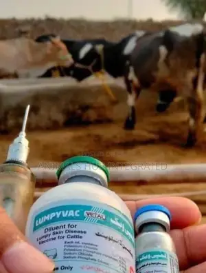 Veterinary Doctor in Ibadan