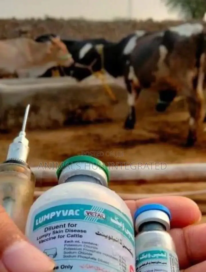 Veterinary Doctor in Ibadan