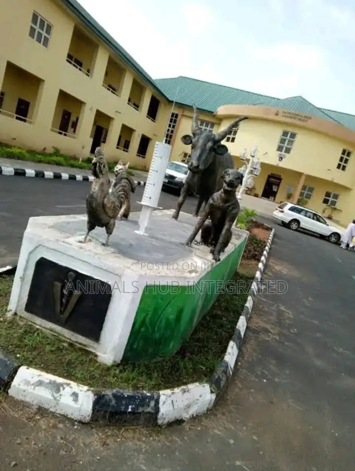 Veterinary Doctor in Ibadan
