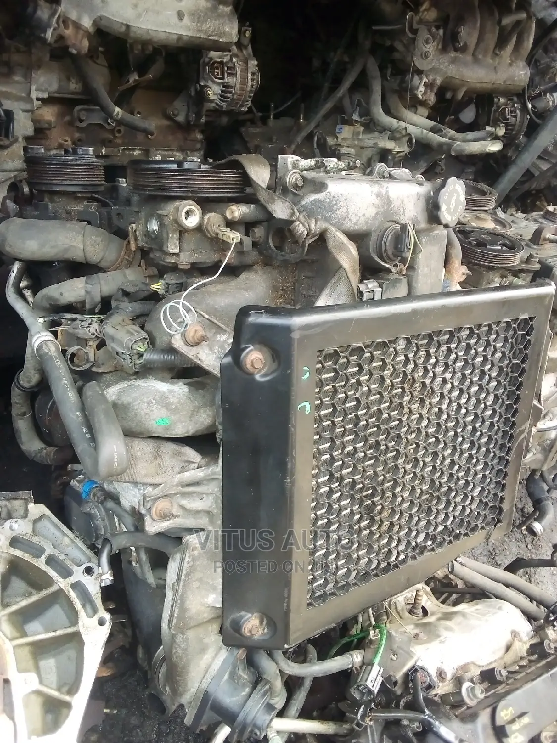 Engine and Gear Box for Everything Mazda